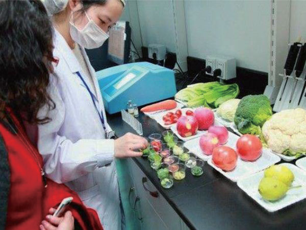 有機(jī)蔬菜配送：新鮮、健康、直送到家